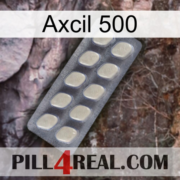 Axcil 500 08.jpg